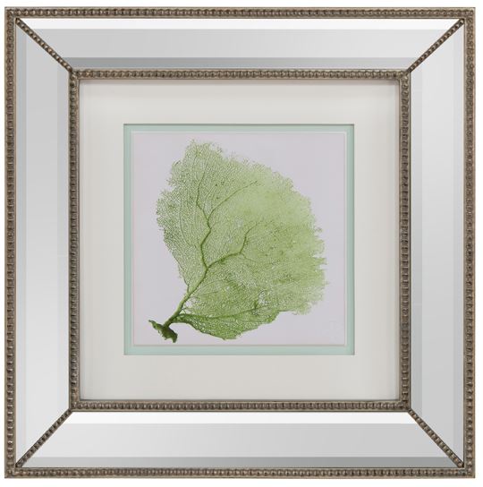 Framed Green Fan Coral