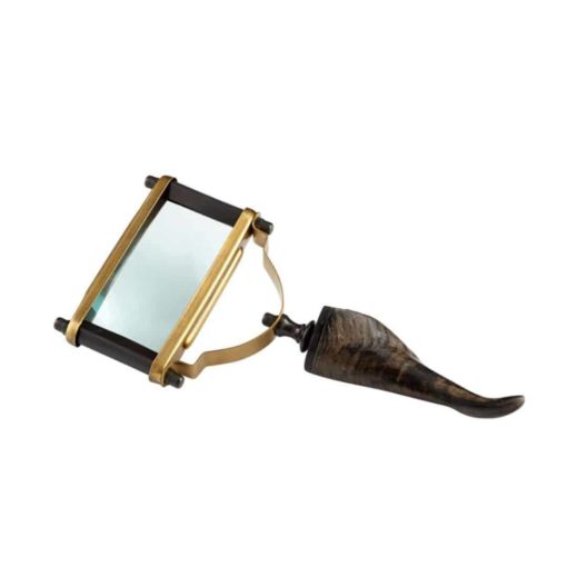 Enfoque Magnifying Glass