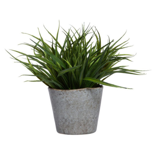 Grass in Grey Wavy Pot