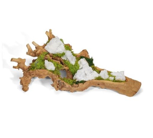Baby Wood Log Filled w/ Stones & Preserved Moss 1