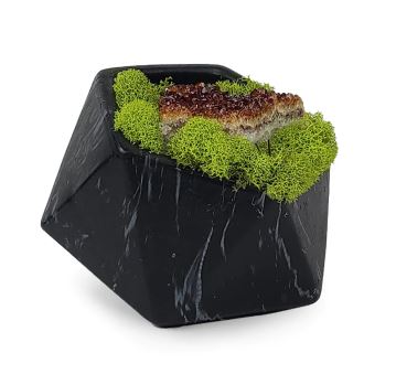 Citrine Geode and Preserved Moss in Black Faux Marble Container 1