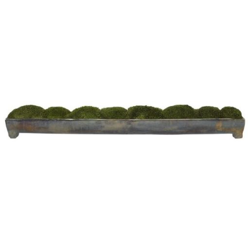 Large Moss Centerpiece in Oxidized Bronze Canal Container 1
