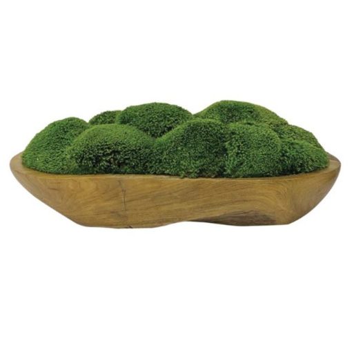 Moss Centerpiece in Teak Bowl. 1