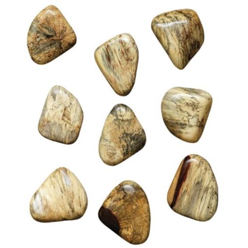 Blonde Pebbles Wood Wall Decor, Set of Nine