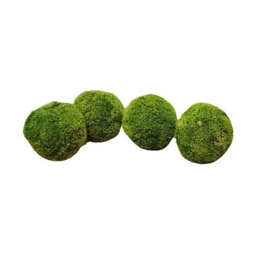 Preserved Moss Ball