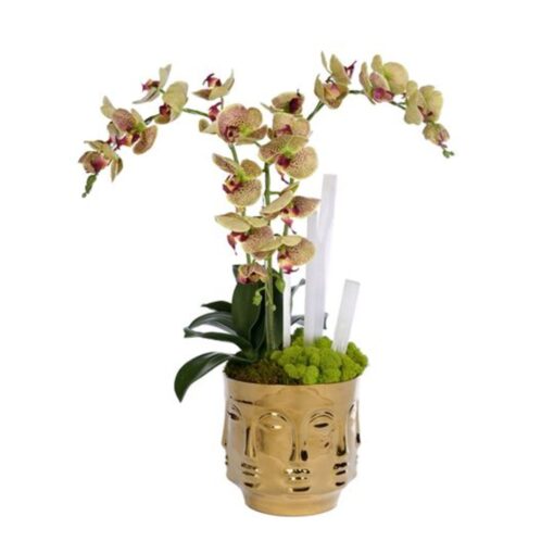 Green Orchids & Selenite in Gold Ceramic Face Vase