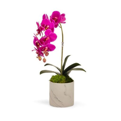 Single Fuchsia Orchid in White Faux Marble Container 1
