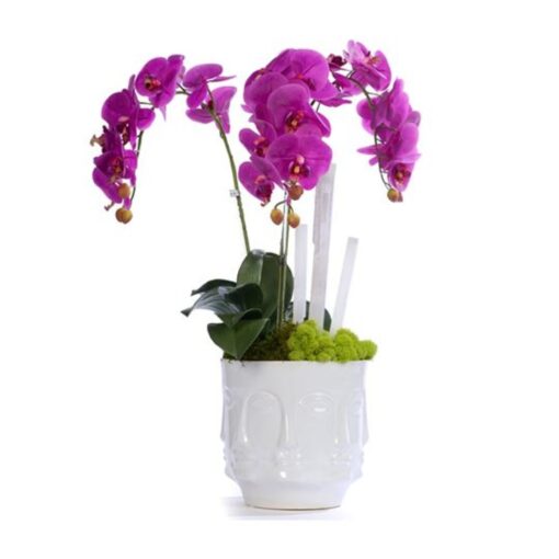 Fuchsia Orchids & Selenite in White Ceramic Face Vase 1