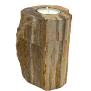 Petrified Wood Candle Holders